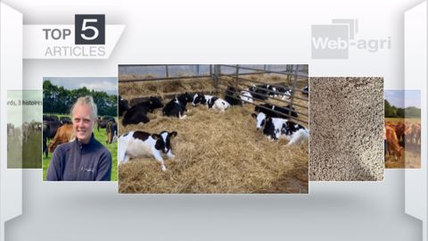 Articles les plus lus sur Web-agri cette semaine. (©Terre-net Média) Articles les plus lus sur Web-agri cette semaine. (©Terre-net Média)