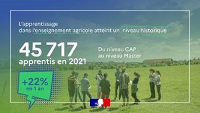 nombre d apprentis en 2020 2021 dans l enseignement agricole