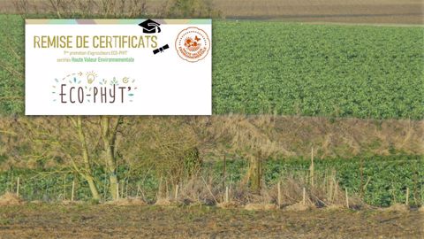 Les agriculteurs HVE 3 de l'association Eco-phy' ont témoigné le 29 janvier sur les différents atouts de cette certification. (©Terre-net Média) Les agriculteurs HVE 3 de l'association Eco-phy' ont témoigné le 29 janvier sur les différents atouts de cette certification. (©Terre-net Média)