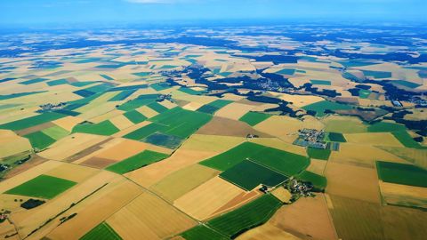 Selon Xavier Reboud, directeur de recherche Inrae, l'enjeu aujourd'hui est de « transférer », « massifier » et « inspirer », afin d'embarquer le plus d'agriculteurs possibles dans la réduction des produits phytos. (©Pixabay)