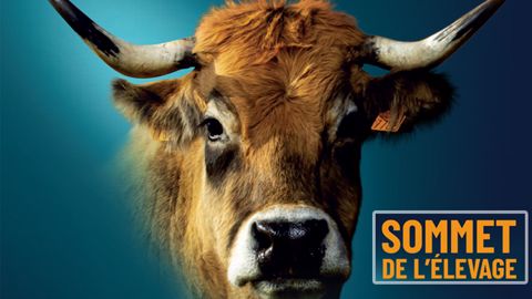 La trentième édition du Sommet de l'élevage devrait se tenir du 5 au 8 octobre 2021. (©Sommet de l'élevage / Terre-net Média) La trentième édition du Sommet de l'élevage devrait se tenir du 5 au 8 octobre 2021. (©Sommet de l'élevage / Terre-net Média)