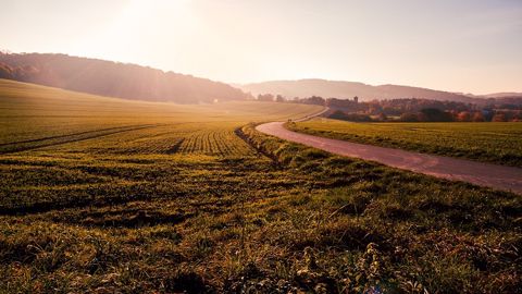 Le Sud de la Russie connaît des températures anormalement douces. (©PixaBay) Le Sud de la Russie connaît des températures anormalement douces. (©PixaBay)