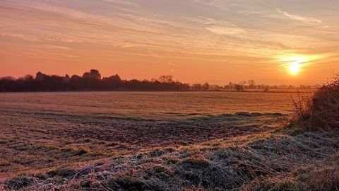  Avec les pluies abondantes ayant précédé la vague de froid<a href="https://www.terre-net.fr/meteo-agricole/article/janvier-2021-assez-froid-et-pluvieux-2179-176177.html" title="Un mois de janvier 2021 froid et pluvieux en France" target="_self"></a>, le blé pourrait subir « un gel mécanique ». (©Pixabay)