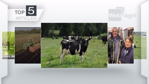 Articles les plus lus sur Web-agri cette semaine. (©Terre-net Média) Articles les plus lus sur Web-agri cette semaine. (©Terre-net Média)