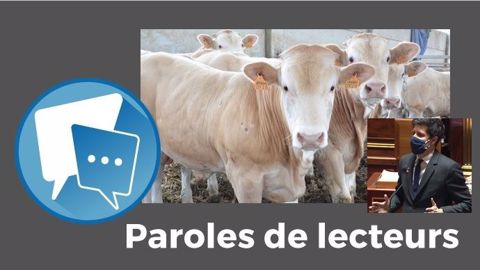 « Les élevages allaitants se sont développés dans les zones peu propices aux cultures », rappelle PàgraT. Que faire d'autre alors dans ces régions ? (©Terre-net Média, Sénat // Création Terre-net Média) « Les élevages allaitants se sont développés dans les zones peu propices aux cultures », rappelle PàgraT. Que faire d'autre alors dans ces régions ? (©Terre-net Média, Sénat // Création Terre-net Média)