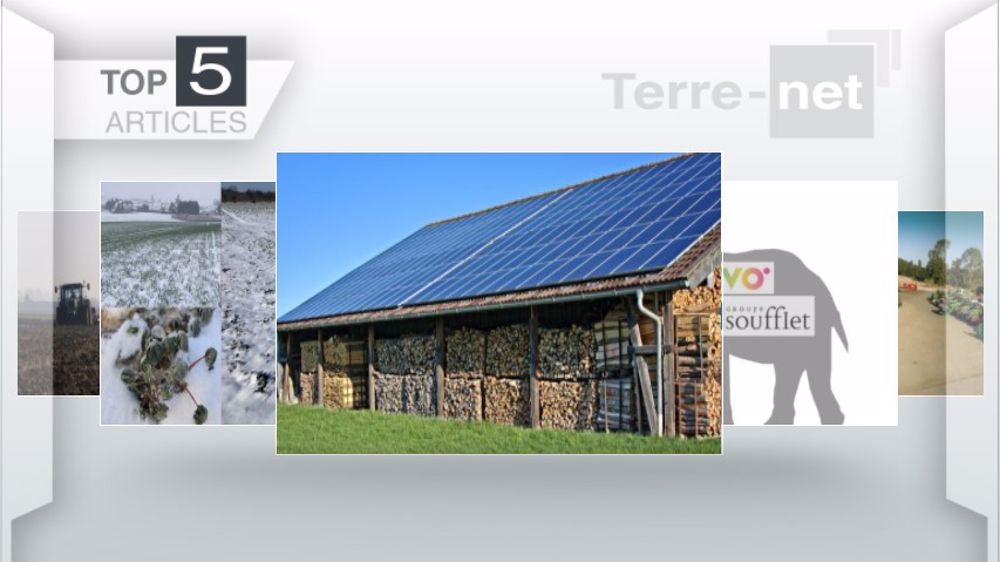 Articles les plus lus sur Terre-net cette semaine. (©Terre-net Média)