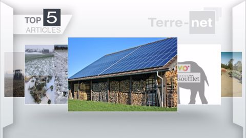 Articles les plus lus sur Terre-net cette semaine. (©Terre-net Média)