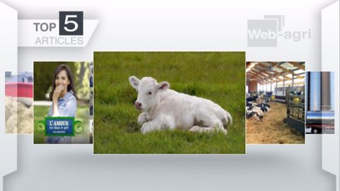 Articles les plus lus sur Web-agri cette semaine. (©Terre-net Média) Articles les plus lus sur Web-agri cette semaine. (©Terre-net Média)