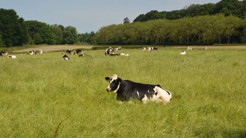 « Comment l'agriculture stocke du carbone » (©Terre-net Média) « Comment l'agriculture stocke du carbone » (©Terre-net Média)