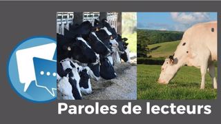 « Donnons de l'herbe à nos vaches, ce ne sera que meilleur pour la planète et le porte-monnaie ! », estime Carbon. (©Terre-net Média et Pixabey // Création Terre-net Média) « Donnons de l'herbe à nos vaches, ce ne sera que meilleur pour la planète et le porte-monnaie ! », estime Carbon. (©Terre-net Média et Pixabey // Création Terre-net Média)