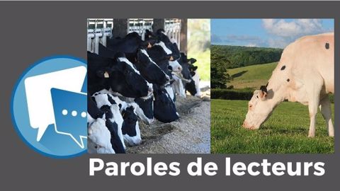 « Donnons de l'herbe à nos vaches, ce ne sera que meilleur pour la planète et le porte-monnaie ! », estime Carbon. (©Terre-net Média et Pixabey // Création Terre-net Média) « Donnons de l'herbe à nos vaches, ce ne sera que meilleur pour la planète et le porte-monnaie ! », estime Carbon. (©Terre-net Média et Pixabey // Création Terre-net Média)