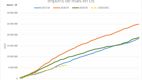 Import de maïs en Europe depuis le 1er octobre.