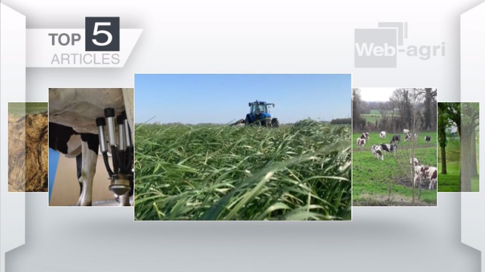 Articles les plus lus sur Web-agri cette semaine. (©Terre-net Média) Articles les plus lus sur Web-agri cette semaine. (©Terre-net Média)