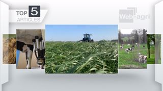 Articles les plus lus sur Web-agri cette semaine. (©Terre-net Média) Articles les plus lus sur Web-agri cette semaine. (©Terre-net Média)