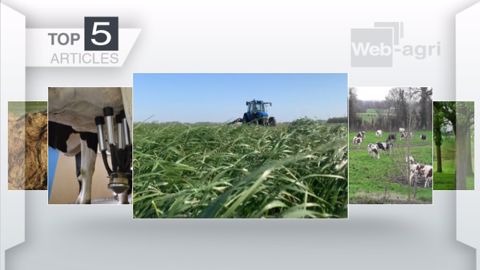 Articles les plus lus sur Web-agri cette semaine. (©Terre-net Média) Articles les plus lus sur Web-agri cette semaine. (©Terre-net Média)
