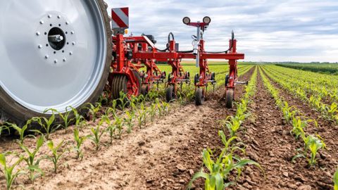 Agrobio 35 propose des formations digitales pour aider les agriculteurs à intégrer le désherbage mécanique à leurs pratiques et réduire le recours aux désherbants. (©Lemken) Agrobio 35 propose des formations digitales pour aider les agriculteurs à intégrer le désherbage mécanique à leurs pratiques et réduire le recours aux désherbants. (©Lemken)