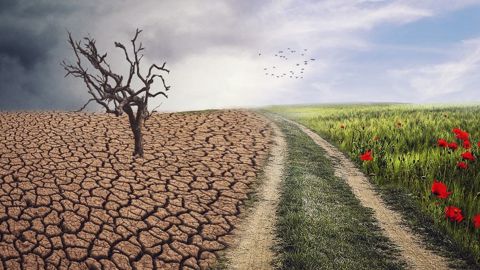 Score CO<sub>2</sub> sur les produits, délit d'écocide, menu végétarien, artificialisation... plusieurs mesures ont trait à l'agriculture dans le projet de loi Climat. (©Pixabay) Score CO<sub>2</sub> sur les produits, délit d'écocide, menu végétarien, artificialisation... plusieurs mesures ont trait à l'agriculture dans le projet de loi Climat. (©Pixabay)