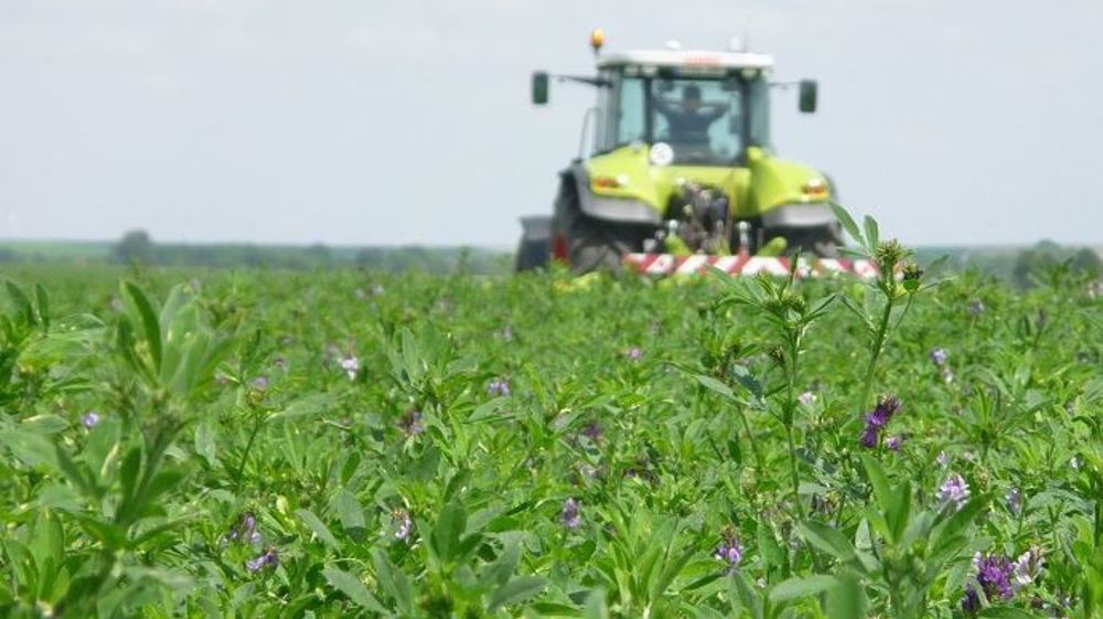 « L'hypothèse majeure de départ du projet Luz’Co était qu'en s'appuyant sur des solutions collectives, les agriculteurs pouvaient lever certains freins techniques et économiques à la mise en place des légumineuses fourragères » en France, selon Aurélie Garcia-Velasco, chargée d’étude environnement et machinisme à la FRCuma Ouest. (©DR)