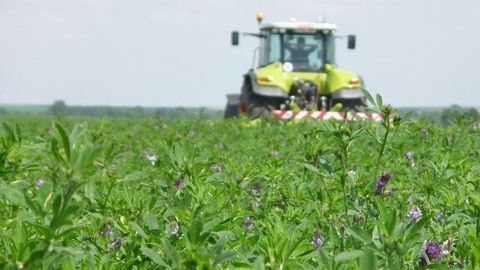 « L'hypothèse majeure de départ du projet Luz’Co était qu'en s'appuyant sur des solutions collectives, les agriculteurs pouvaient lever certains freins techniques et économiques à la mise en place des légumineuses fourragères » en France, selon Aurélie Garcia-Velasco, chargée d’étude environnement et machinisme à la FRCuma Ouest. (©DR) « L'hypothèse majeure de départ du projet Luz’Co était qu'en s'appuyant sur des solutions collectives, les agriculteurs pouvaient lever certains freins techniques et économiques à la mise en place des légumineuses fourragères » en France, selon Aurélie Garcia-Velasco, chargée d’étude environnement et machinisme à la FRCuma Ouest. (©DR)