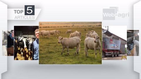 Articles les plus lus sur Web-agri cette semaine. (©Terre-net Média) Articles les plus lus sur Web-agri cette semaine. (©Terre-net Média)