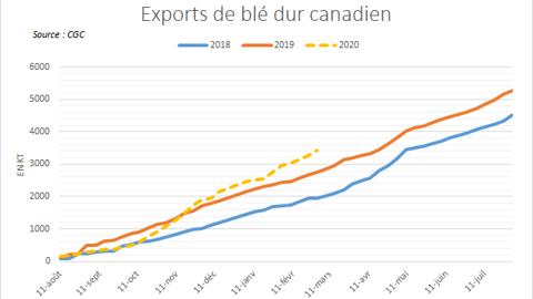 Exports de blé dur canadien.