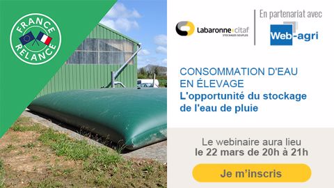 Inscrivez-vous au webinaire Labaronne-Citaf pour échanger sur le stockage de l'eau de pluie pour la consommation de l'élevage.