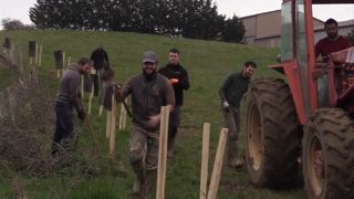 Mise en place d’une plantation agroforestière chez un éleveur ariégeois Mise en place d’une plantation agroforestière chez un éleveur ariégeois