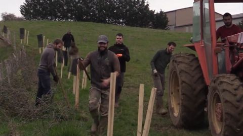 Mise en place d’une plantation agroforestière chez un éleveur ariégeois Mise en place d’une plantation agroforestière chez un éleveur ariégeois