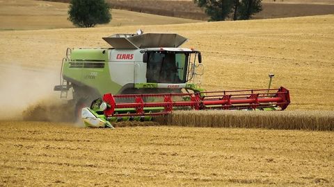 La France produirait 35,9 Mt de blé, soit 7 Mt de plus que l'an passé ! La France produirait 35,9 Mt de blé, soit 7 Mt de plus que l'an passé !