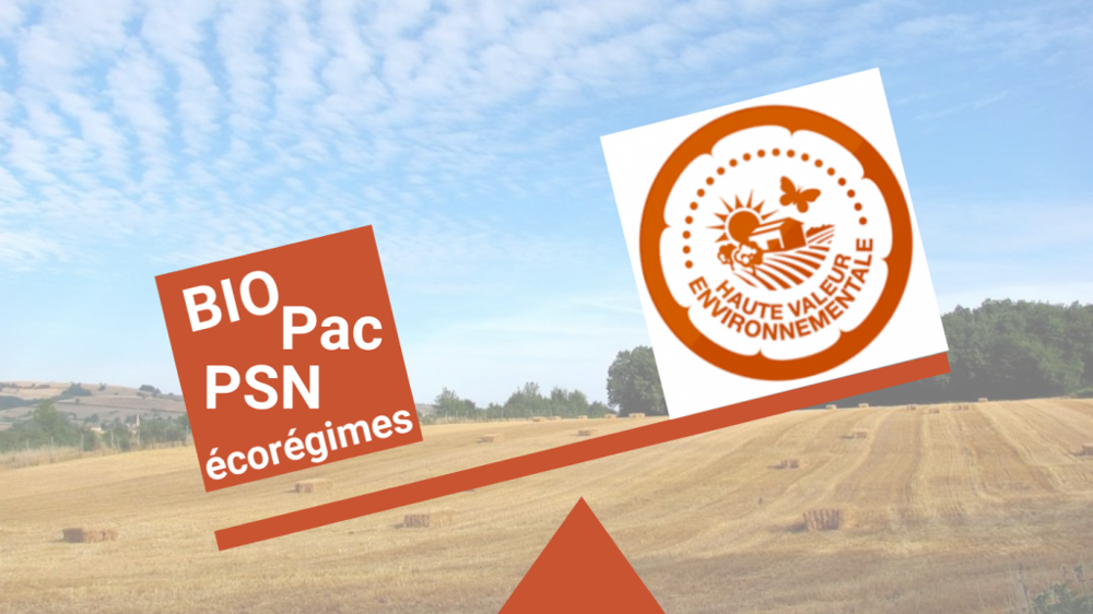 Pour l'Iddri, la certification HVE ne peut pas, en l'état, être un critère d'accès aux écorégimes de la future Pac. (©Terre-net Média)