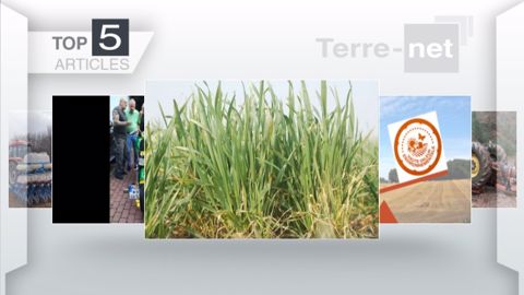 Articles les plus lus sur Terre-net cette semaine. (©Terre-net Média)