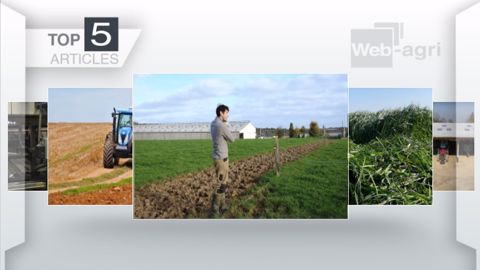 Articles les plus lus sur Web-agri cette semaine. (©Terre-net Média) Articles les plus lus sur Web-agri cette semaine. (©Terre-net Média)