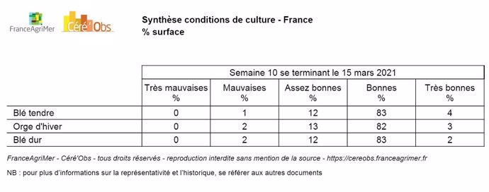 Synthèse conditions de culture au 15 mars 2021