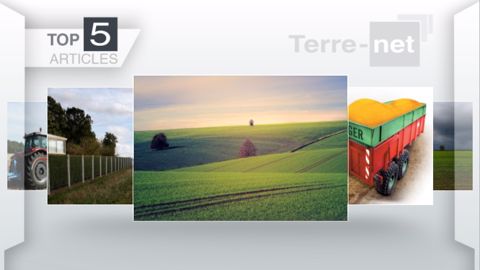 Articles les plus lus sur Terre-net cette semaine. (©Terre-net Média)