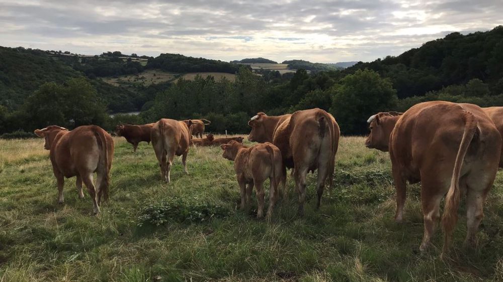 Quelle méthode utilisez-vous ?