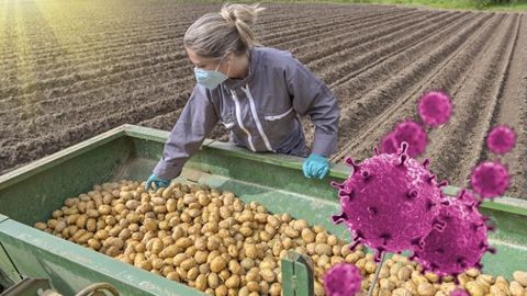 La ferme France à l’épreuve du virus