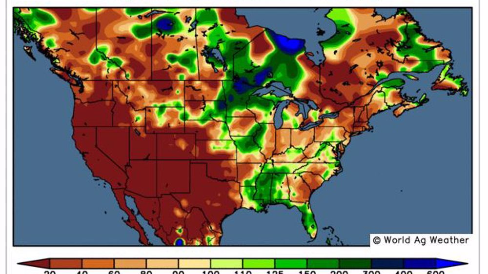 Écart de précipitations par rapport à la normale sur les 14 derniers jours. (©WorldAgWeather)