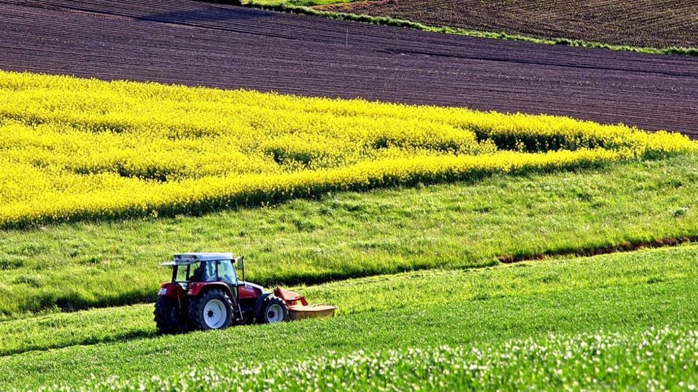 France Grandes Cultures réclame un système d'éco-régimes accessible à tous les agriculteurs sans exception. (©Pixabay)