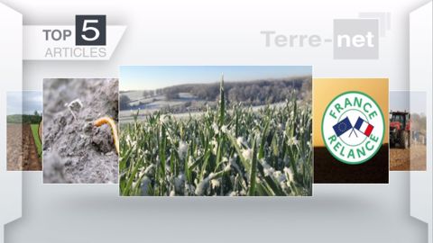 Articles les plus lus sur Terre-net cette semaine. (©Terre-net Média)
