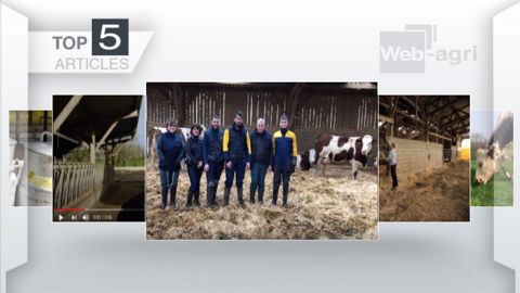 Articles les plus lus sur Web-agri cette semaine. (©Terre-net Média) Articles les plus lus sur Web-agri cette semaine. (©Terre-net Média)