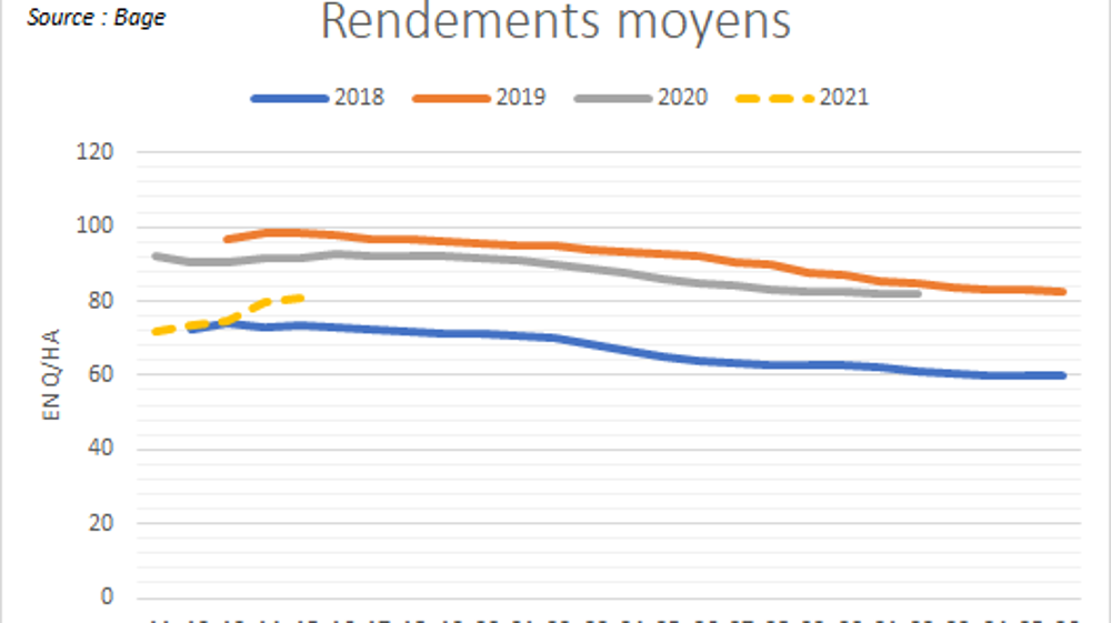 Rendements moyens en Argentine.
