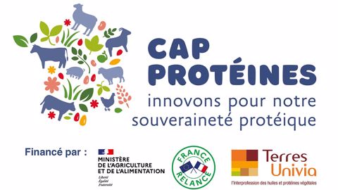Le programme Cap Protéines vise à booster l'autonomie protéique de la France. (©Cap Protéines) Le programme Cap Protéines vise à booster l'autonomie protéique de la France. (©Cap Protéines)