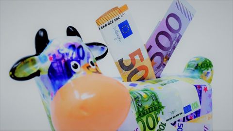 Suite aux conséquences importantes du dernier épisode de gel, le gouvernement a déployé un certain nombre de mesures de soutien pour les agriculteurs. (©Pixabay) Suite aux conséquences importantes du dernier épisode de gel, le gouvernement a déployé un certain nombre de mesures de soutien pour les agriculteurs. (©Pixabay)