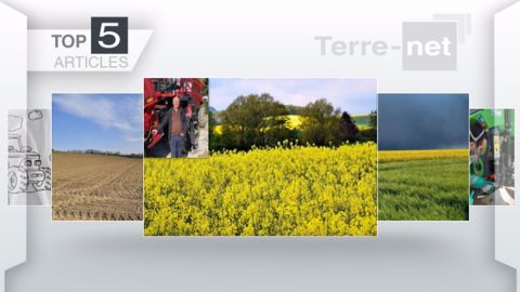 Articles les plus lus sur Terre-net cette semaine. (©Terre-net Média)