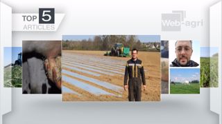 Articles les plus lus sur Web-agri cette semaine. (©Terre-net Média) Articles les plus lus sur Web-agri cette semaine. (©Terre-net Média)