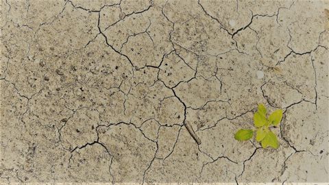 Remis le 21 avril, le rapport de Frédéric Descrozaille propose plusieurs pistes pour rénover le dispositif de gestion des risques. (©Pixabay)
