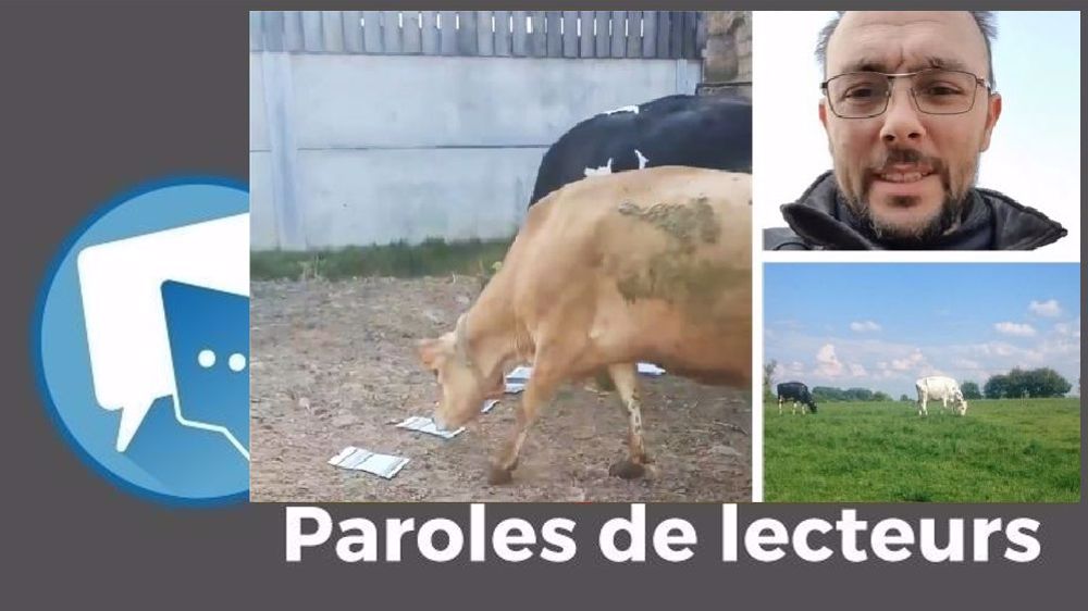 <a class="oajrlxb2 g5ia77u1 qu0x051f esr5mh6w e9989ue4 r7d6kgcz rq0escxv nhd2j8a9 nc684nl6 p7hjln8o kvgmc6g5 cxmmr5t8 oygrvhab hcukyx3x jb3vyjys rz4wbd8a qt6c0cv9 a8nywdso i1ao9s8h esuyzwwr f1sip0of lzcic4wl gmql0nx0 gpro0wi8" href="https://www.facebook.com/profile.php?id=100004846159226&comment_id=Y29tbWVudDo0MDQwMzM0MTE5MzIwMTU3XzQwNDE0Njg4NTU4NzMzNTA%3D&__cft__[0]=AZXU1PcNeG3m9pPmtTj6Szfu2pCA3FBBDgYUi2q4X8IKzmLAhTL9802omTtaojaU4q6IY0qmsZp1JI525riGSQfhOYchPweYmhTfBosKpx_nhJUVSmDCnNFys4