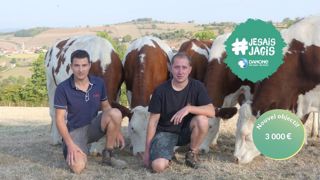 Des vaches bien dans leurs sabots et des éleveurs bien dans leurs bottes ne peuvent qu'être bénéfiques à la production et la qualité du lait ! (©Samuel et Yannick Thizy) Des vaches bien dans leurs sabots et des éleveurs bien dans leurs bottes ne peuvent qu'être bénéfiques à la production et la qualité du lait ! (©Samuel et Yannick Thizy)