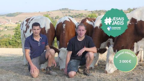 Des vaches bien dans leurs sabots et des éleveurs bien dans leurs bottes ne peuvent qu'être bénéfiques à la production et la qualité du lait ! (©Samuel et Yannick Thizy) Des vaches bien dans leurs sabots et des éleveurs bien dans leurs bottes ne peuvent qu'être bénéfiques à la production et la qualité du lait ! (©Samuel et Yannick Thizy)