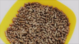 Après des mois de hausse, les prix des tourteaux et des céréales semblent s'orientent à la baisse. (©Terre-net Média) Après des mois de hausse, les prix des tourteaux et des céréales semblent s'orientent à la baisse. (©Terre-net Média)
